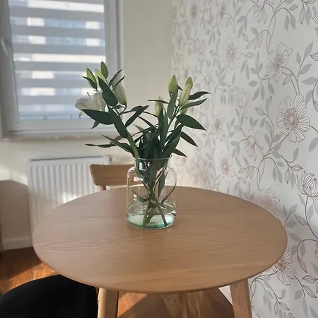 公寓 Tropical Jungle Apartament