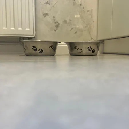 Tropical Jungle Apartament 奥特沃茨克