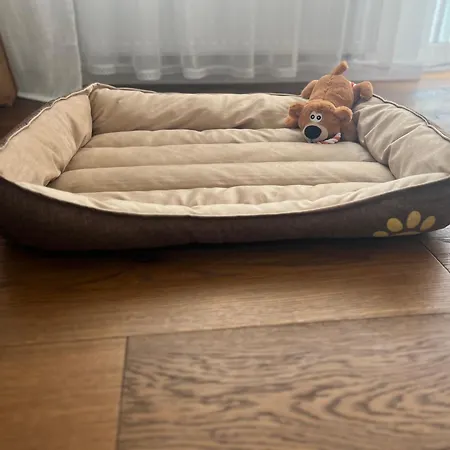 公寓 Tropical Jungle Apartament