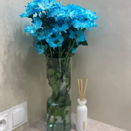 公寓 Tropical Jungle Apartament 奥特沃茨克