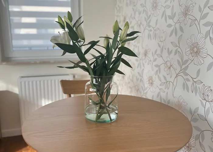 Apartment Tropical Jungle Apartament