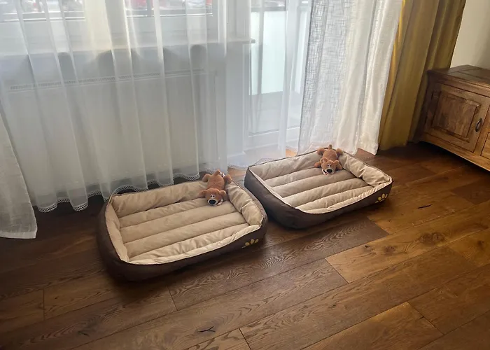 Apartment Tropical Jungle Apartament