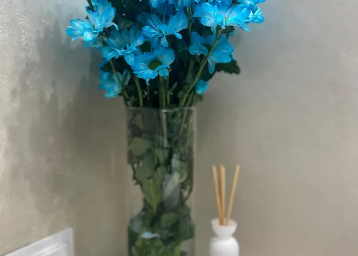 Apartment Tropical Jungle Apartament Otwock